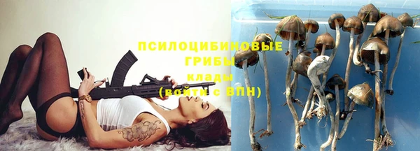 стафф Осташков