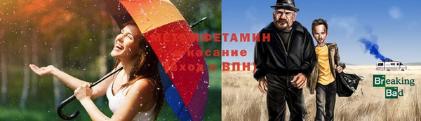 стафф Осташков
