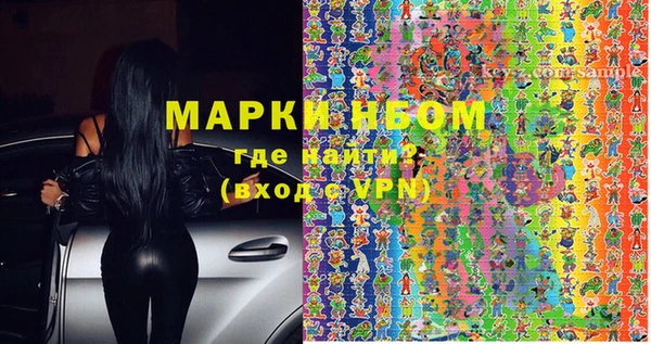 стафф Осташков