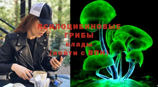 ГАЛЛЮЦИНОГЕННЫЕ ГРИБЫ Пересвет