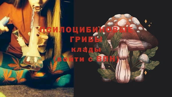 стафф Осташков