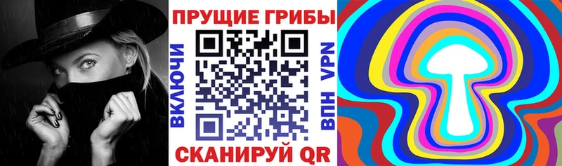 Псилоцибиновые грибы мицелий  купить наркотик  Курчалой 