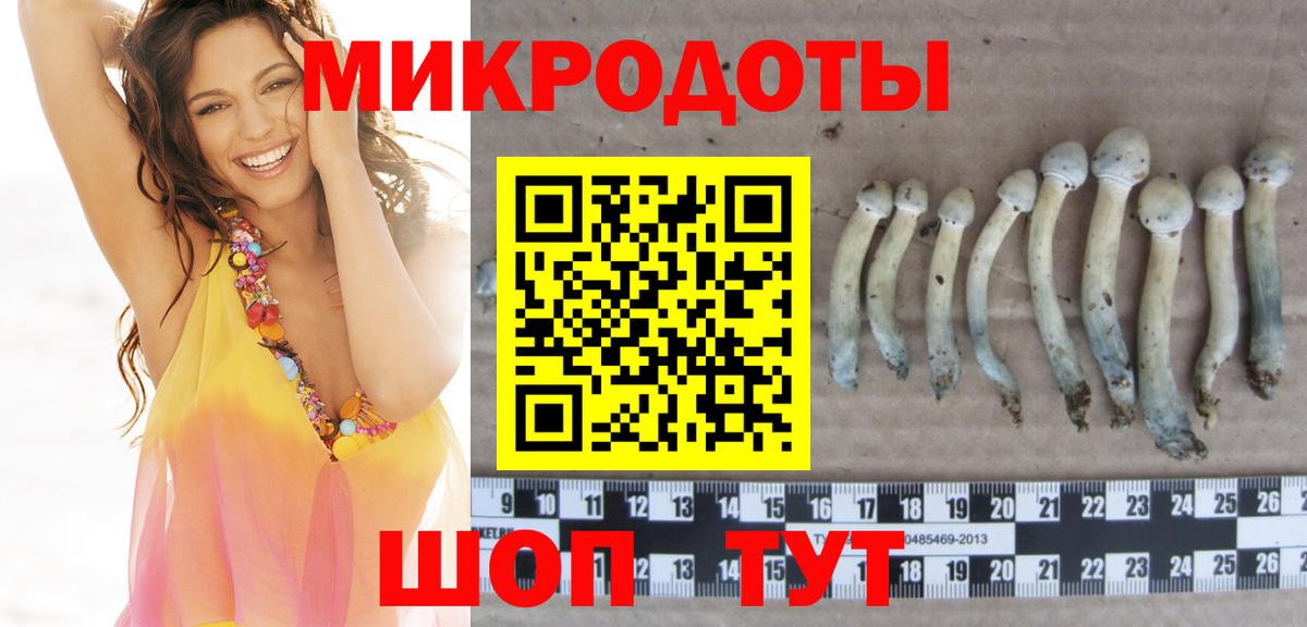 Галлюциногенные грибы Cubensis Курчалой